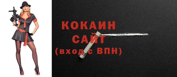 сатива Аркадак