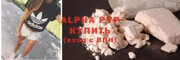 сатива Аркадак