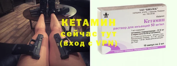 сатива Аркадак