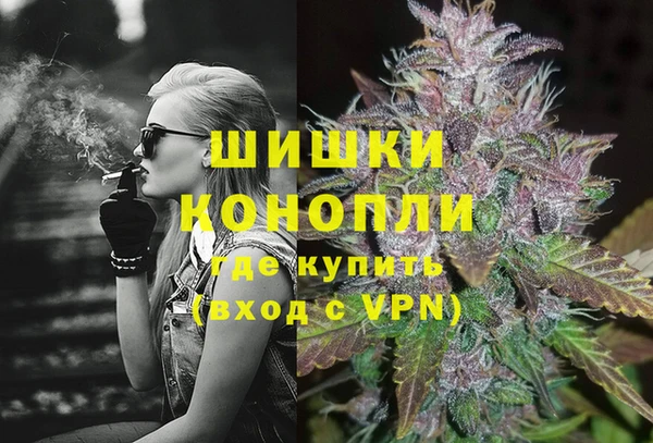 сатива Аркадак