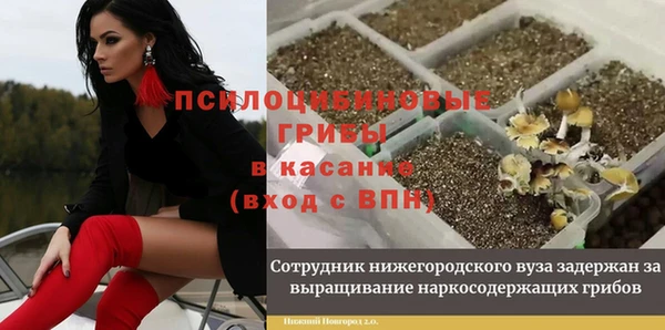 амф Няндома